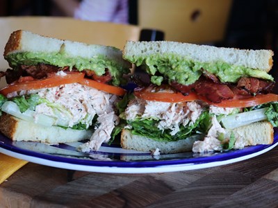 Paloma's Pavo - half