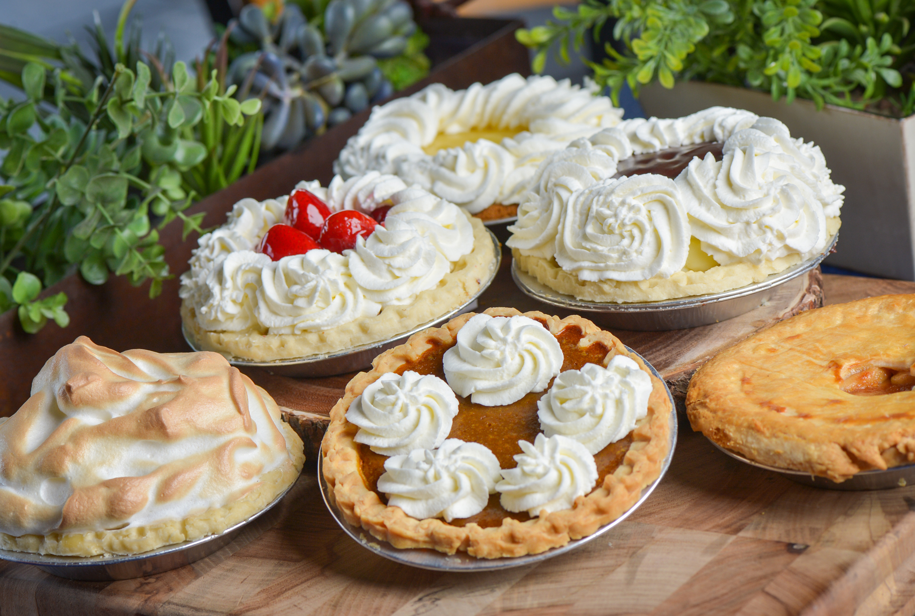 Pies